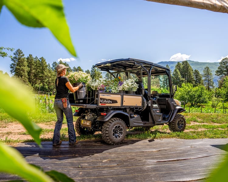 KUBOTA RTVX4-PDLHS-1