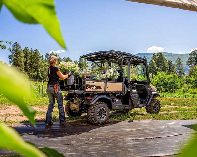 KUBOTA RTVX4-PDLHS-1
